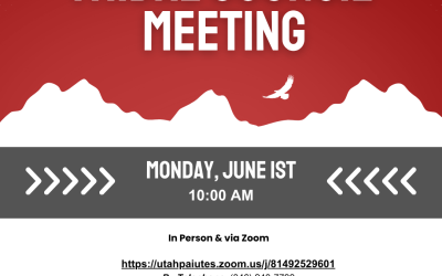 Tribal Council on June 1